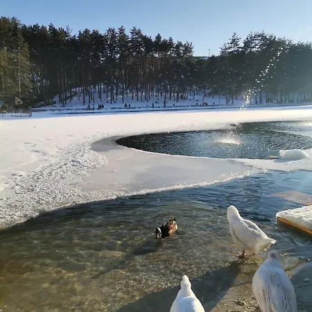 Appartement Golden Hill