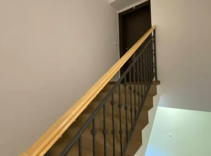 Golden Hill * Zlatibor